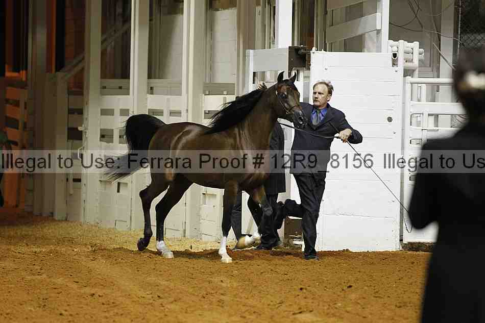 Proof Number 12r9_8156