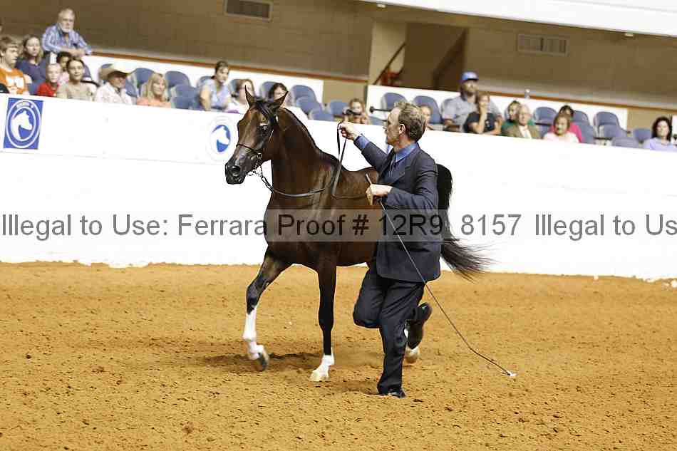 Proof Number 12r9_8157