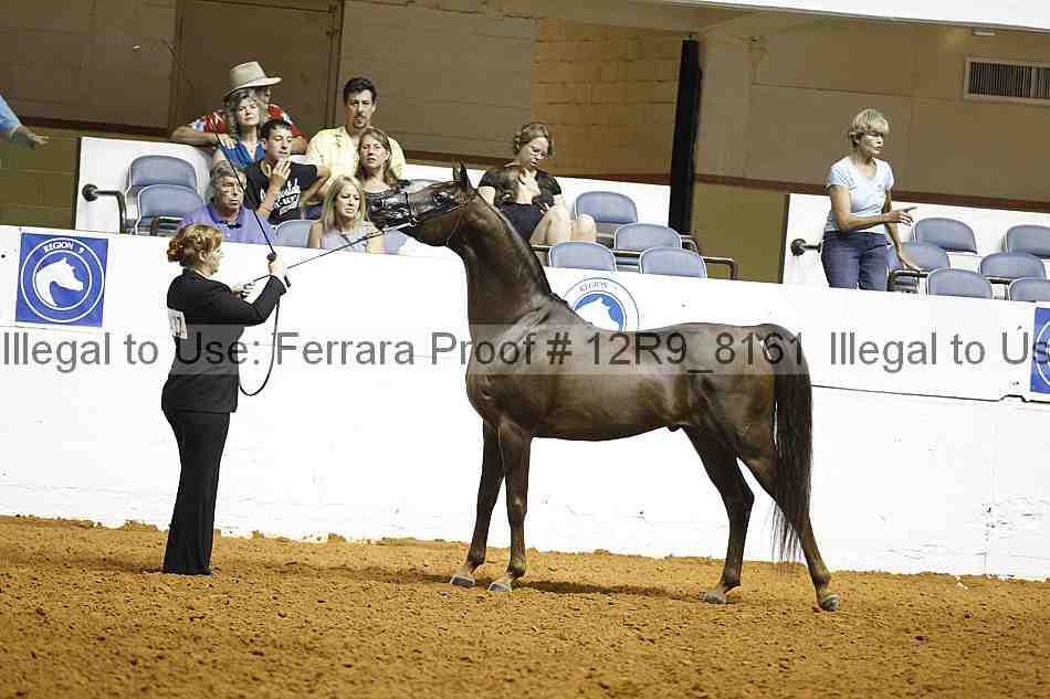 Proof Number 12r9_8161