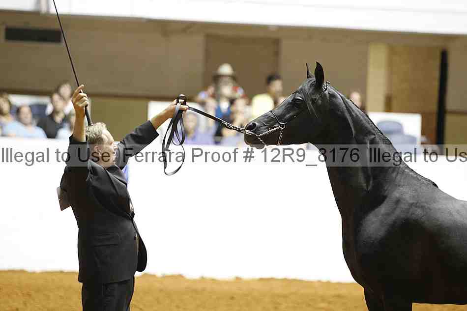 Proof Number 12r9_8176