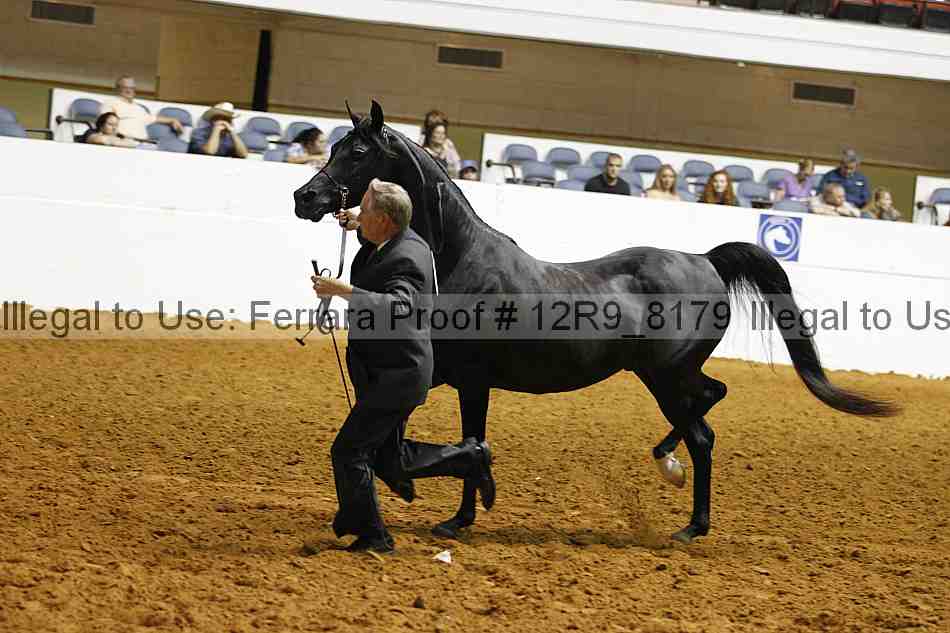 Proof Number 12r9_8179