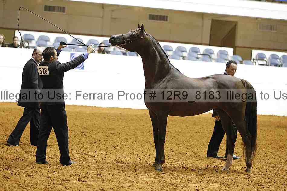 Proof Number 12r9_8183