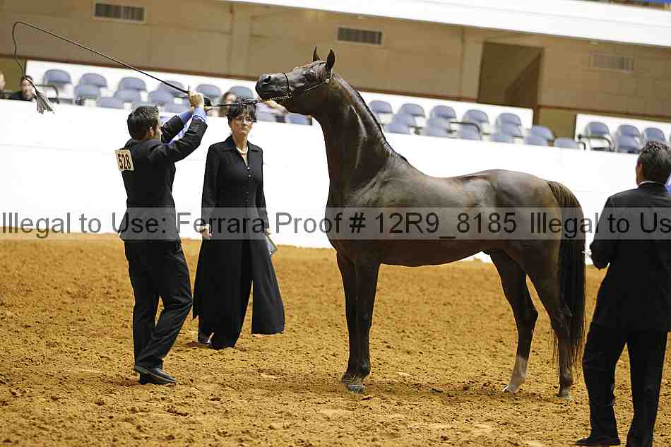 Proof Number 12r9_8185