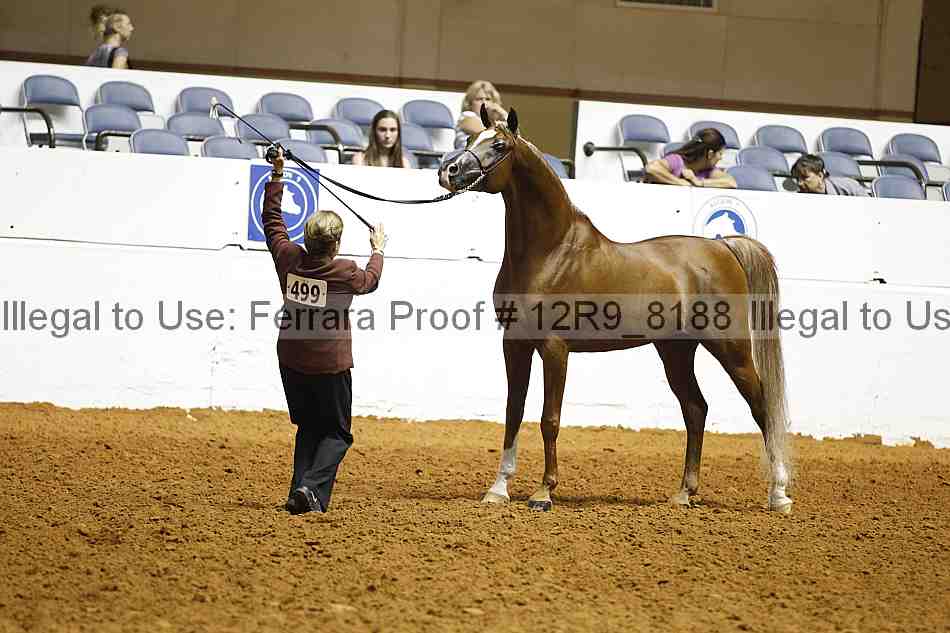 Proof Number 12r9_8188