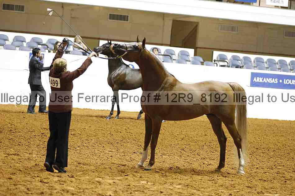 Proof Number 12r9_8192