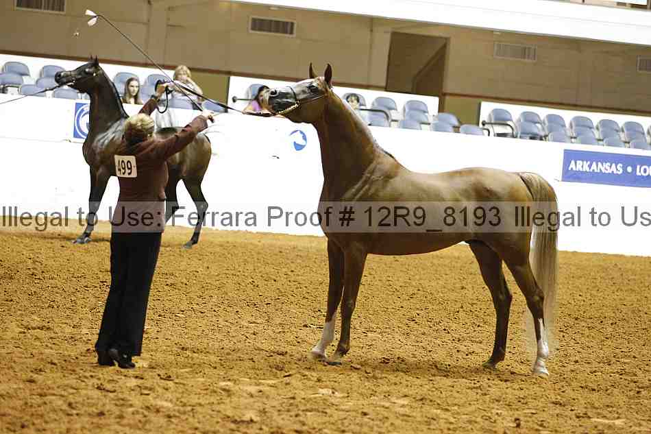 Proof Number 12r9_8193