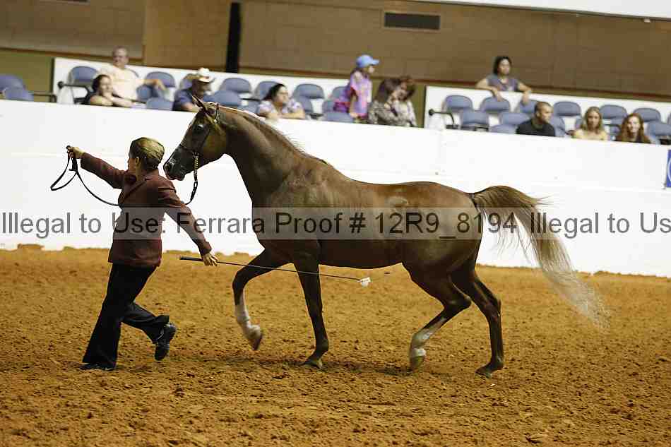 Proof Number 12r9_8194