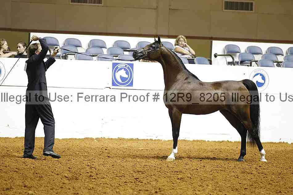 Proof Number 12r9_8205