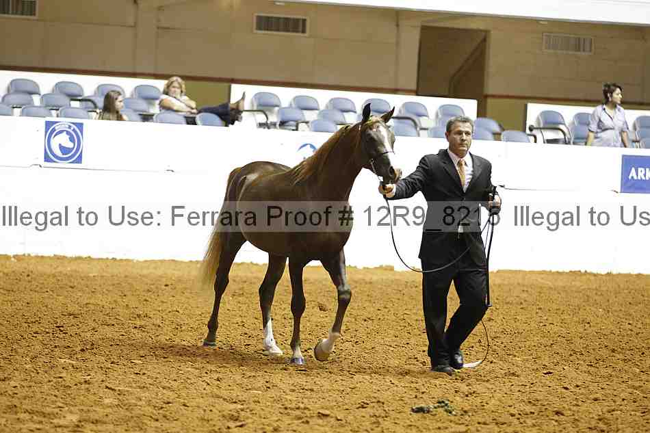 Proof Number 12r9_8215