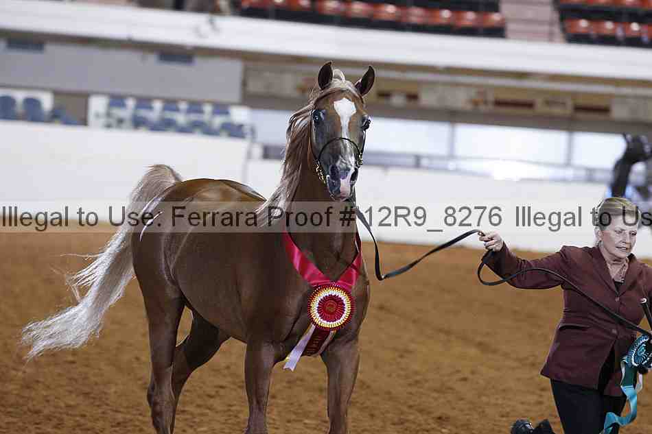 Proof Number 12r9_8276