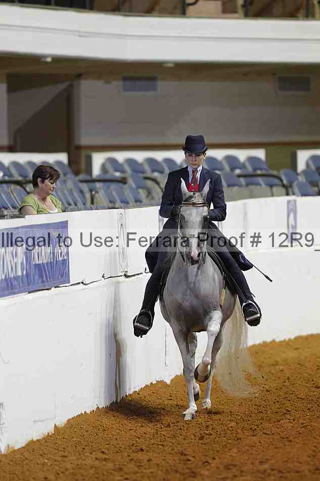 Proof Number 12r9_8300