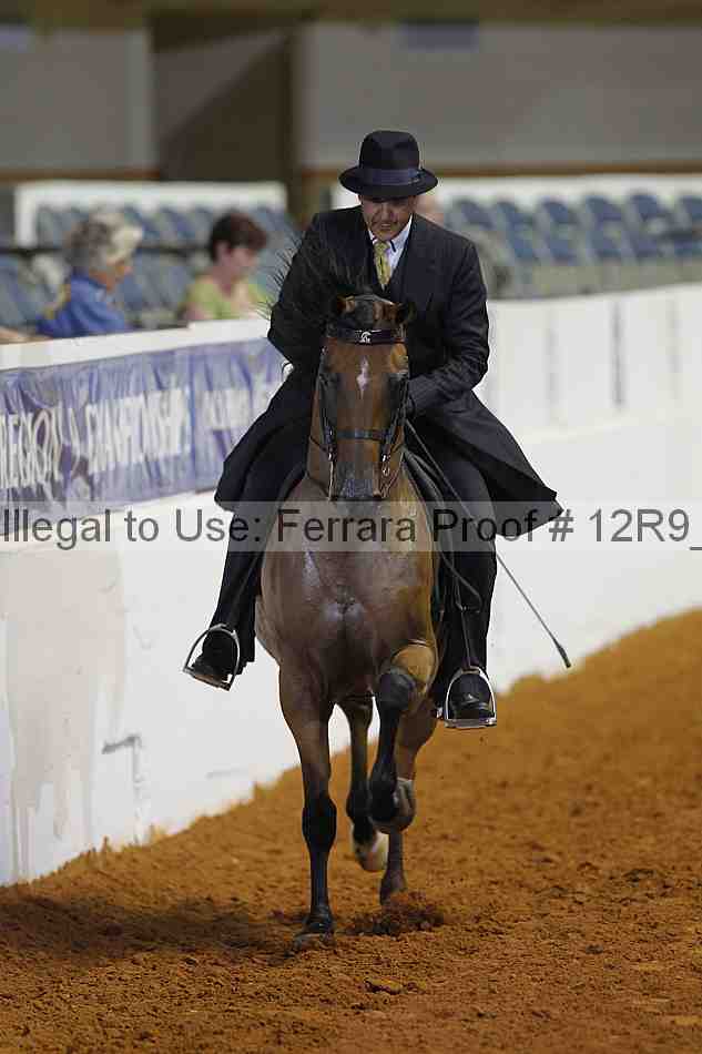 Proof Number 12r9_8305