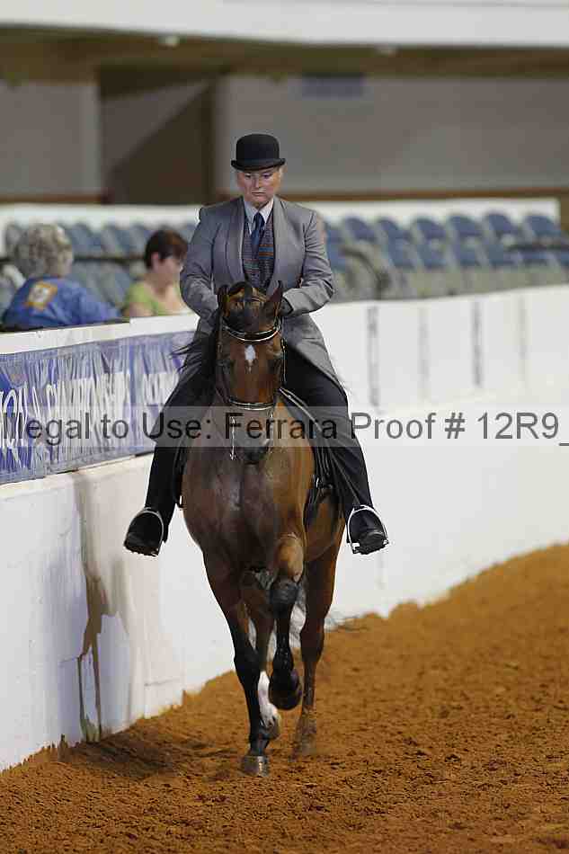 Proof Number 12r9_8307