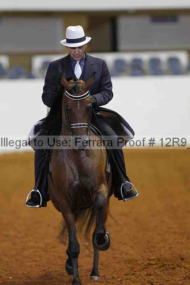 Proof Number 12r9_8313