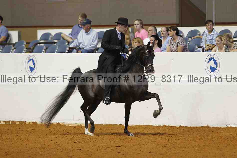 Proof Number 12r9_8317
