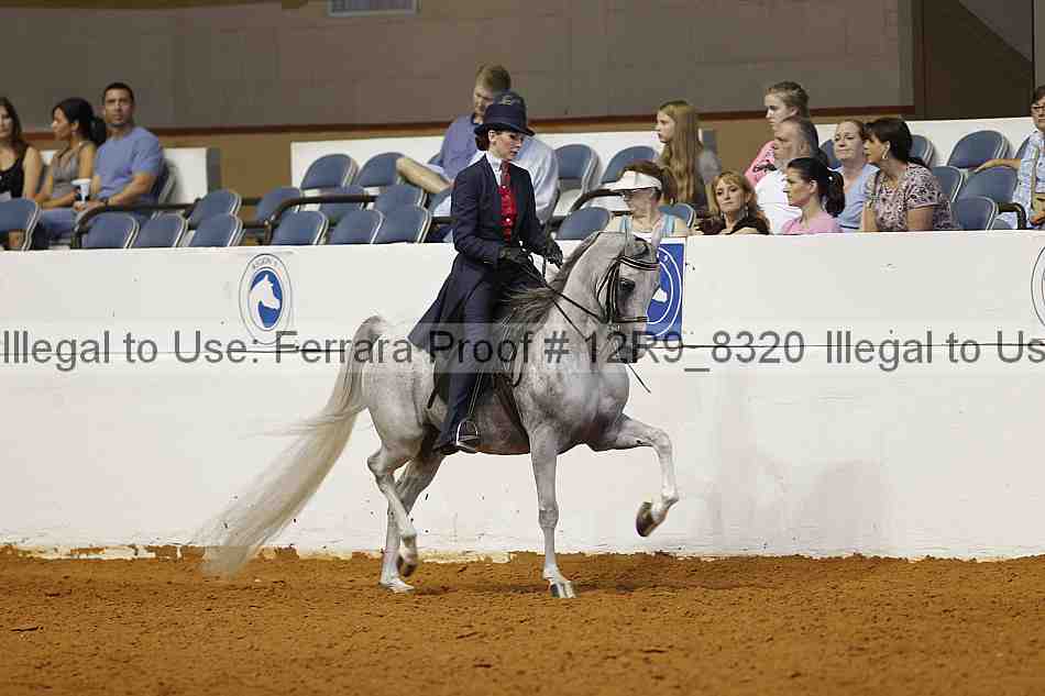 Proof Number 12r9_8320