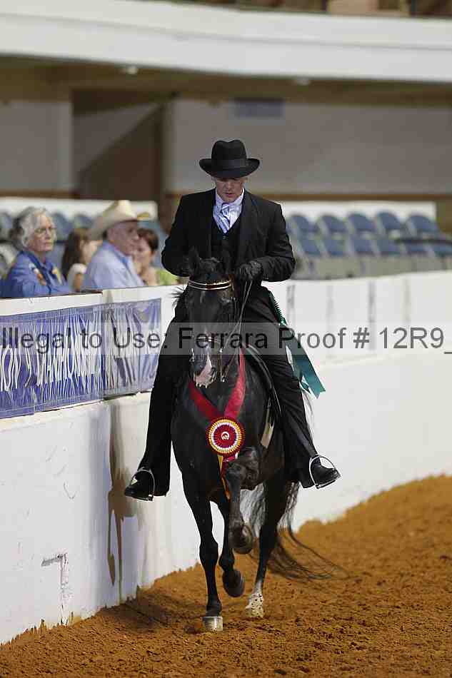 Proof Number 12r9_8345
