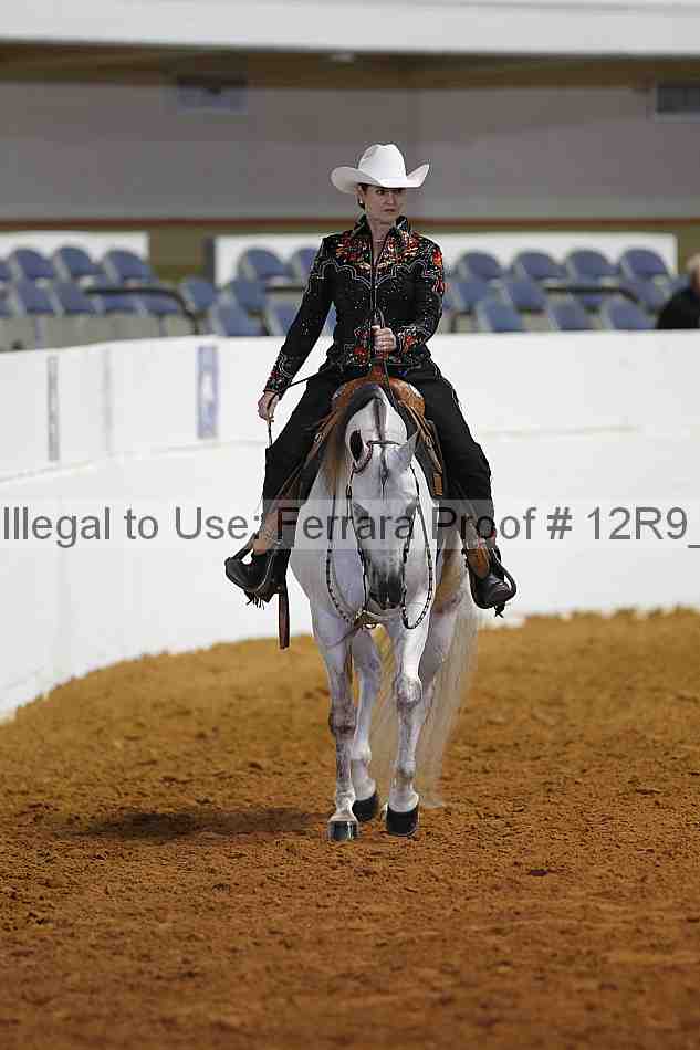 Proof Number 12r9_8361