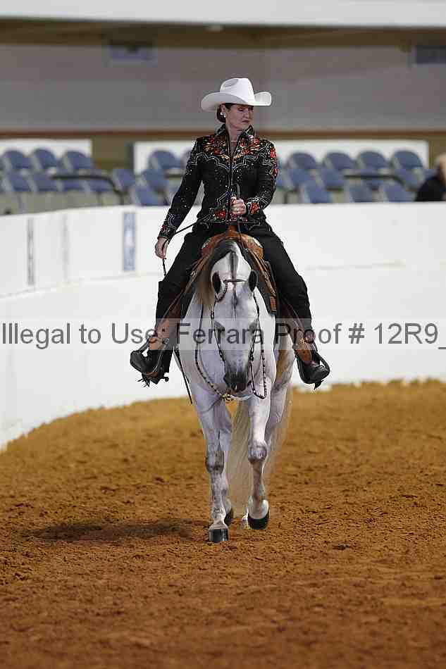 Proof Number 12r9_8362