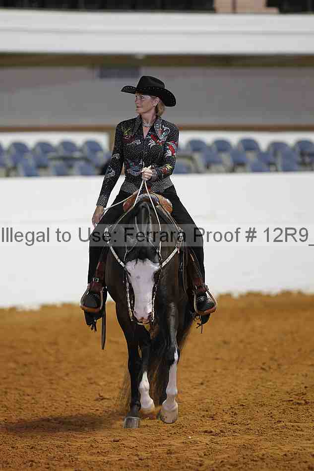 Proof Number 12r9_8372