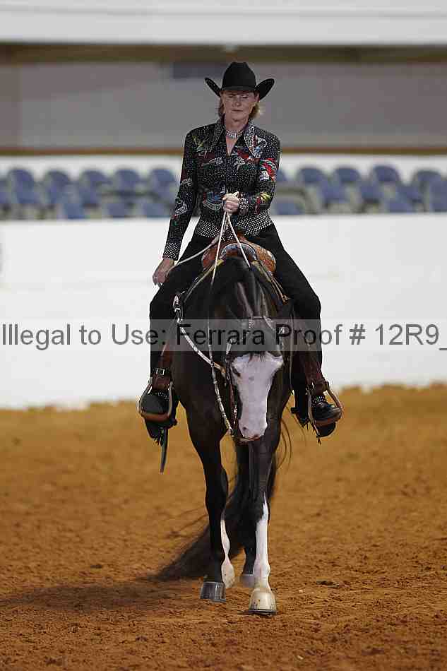 Proof Number 12r9_8373