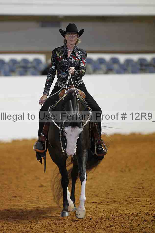 Proof Number 12r9_8374