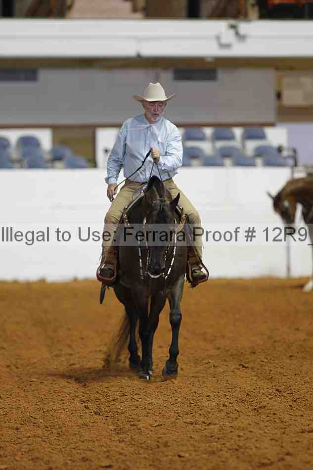 Proof Number 12r9_8380