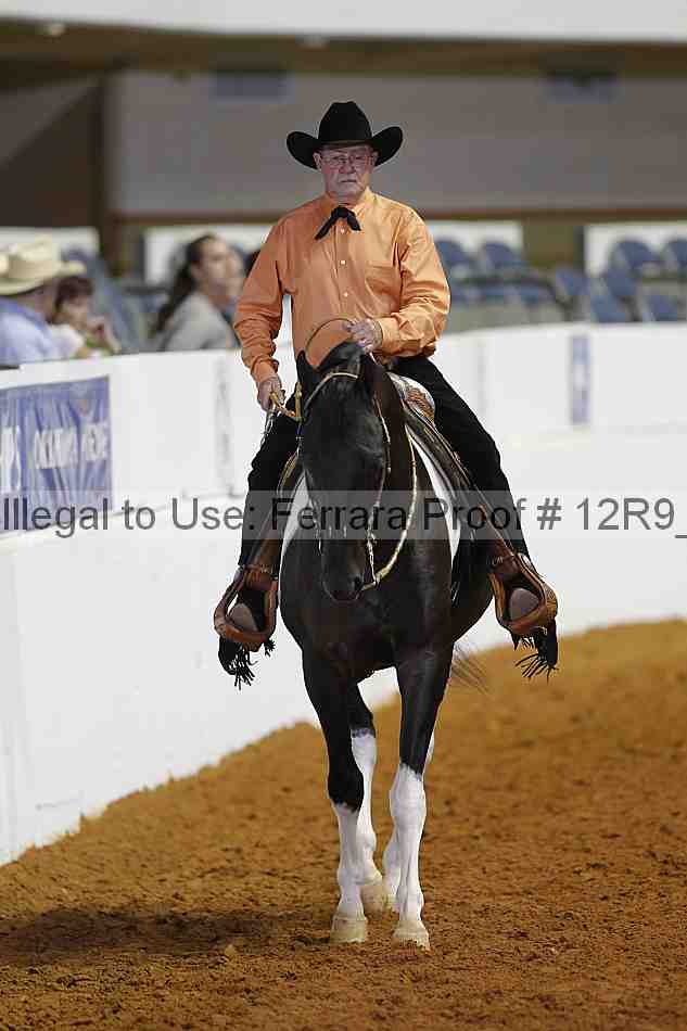 Proof Number 12r9_8396