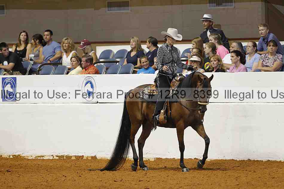 Proof Number 12r9_8399