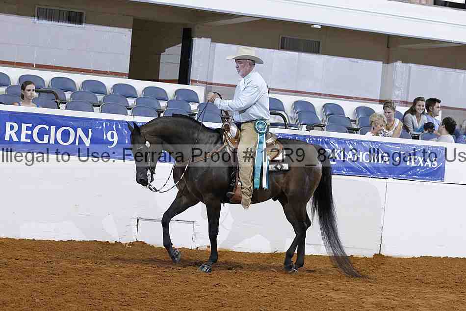 Proof Number 12r9_8413