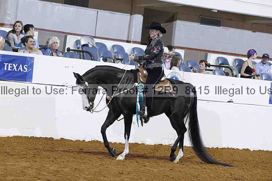 Proof Number 12r9_8415