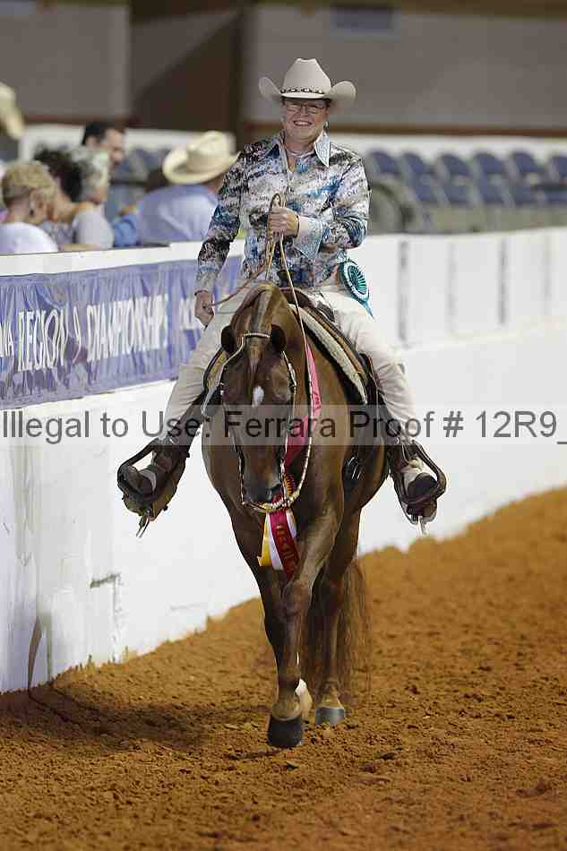 Proof Number 12r9_8431