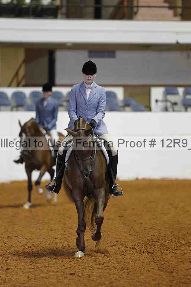 Proof Number 12r9_8481