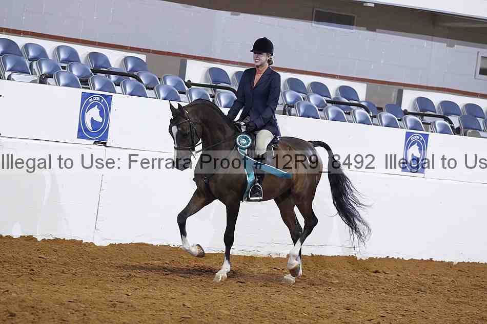 Proof Number 12r9_8492