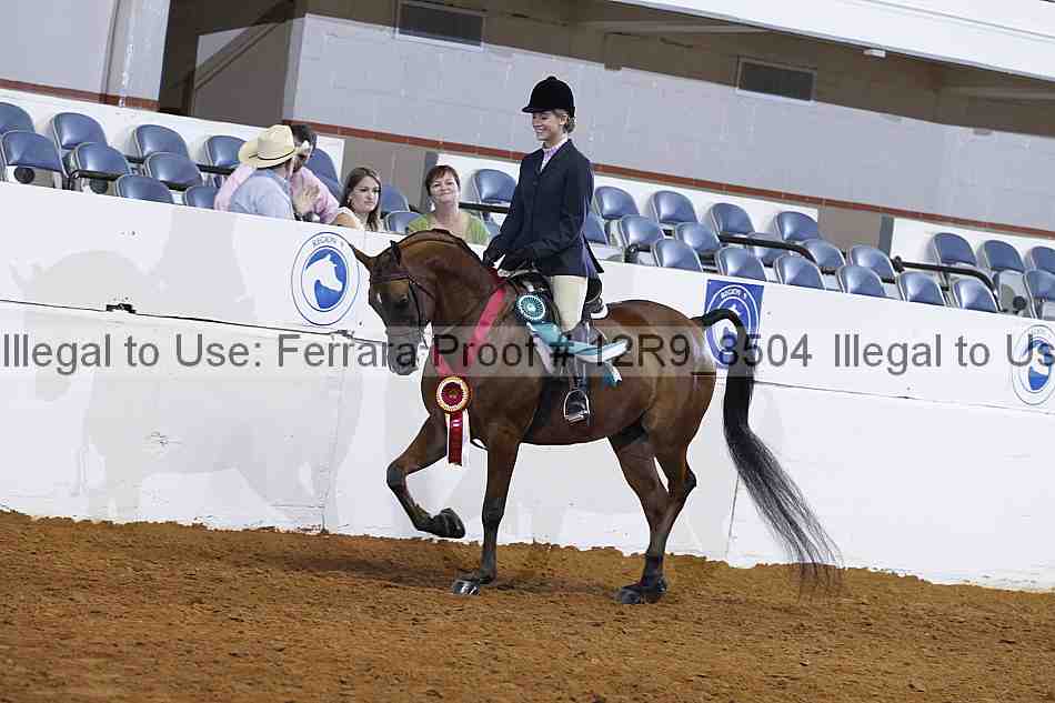 Proof Number 12r9_8504