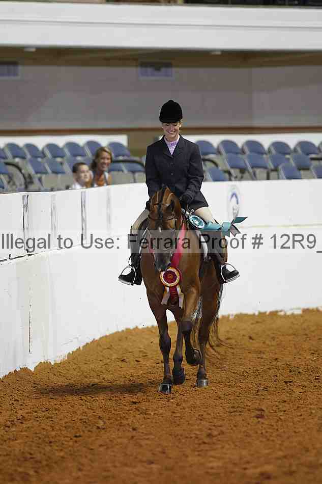 Proof Number 12r9_8516