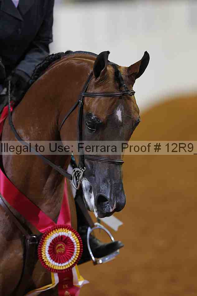 Proof Number 12r9_8519