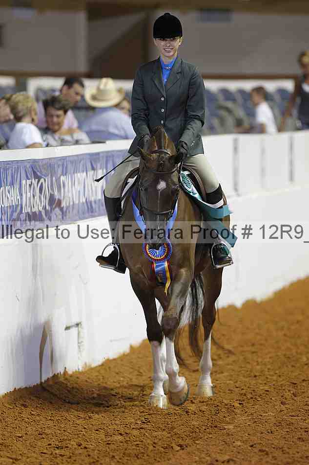 Proof Number 12r9_8521
