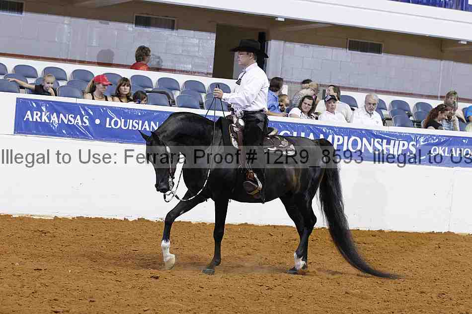 Proof Number 12r9_8593