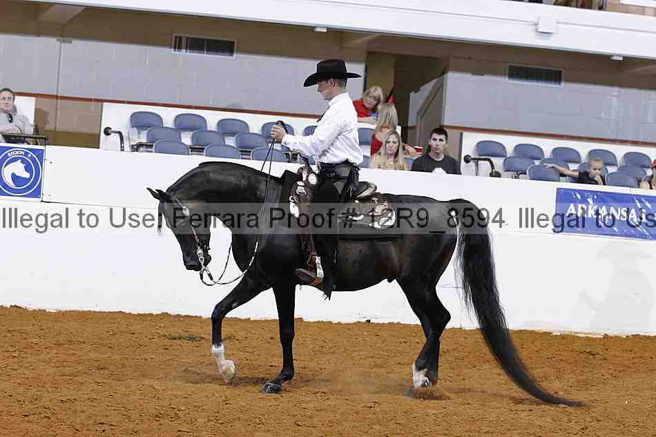 Proof Number 12r9_8594