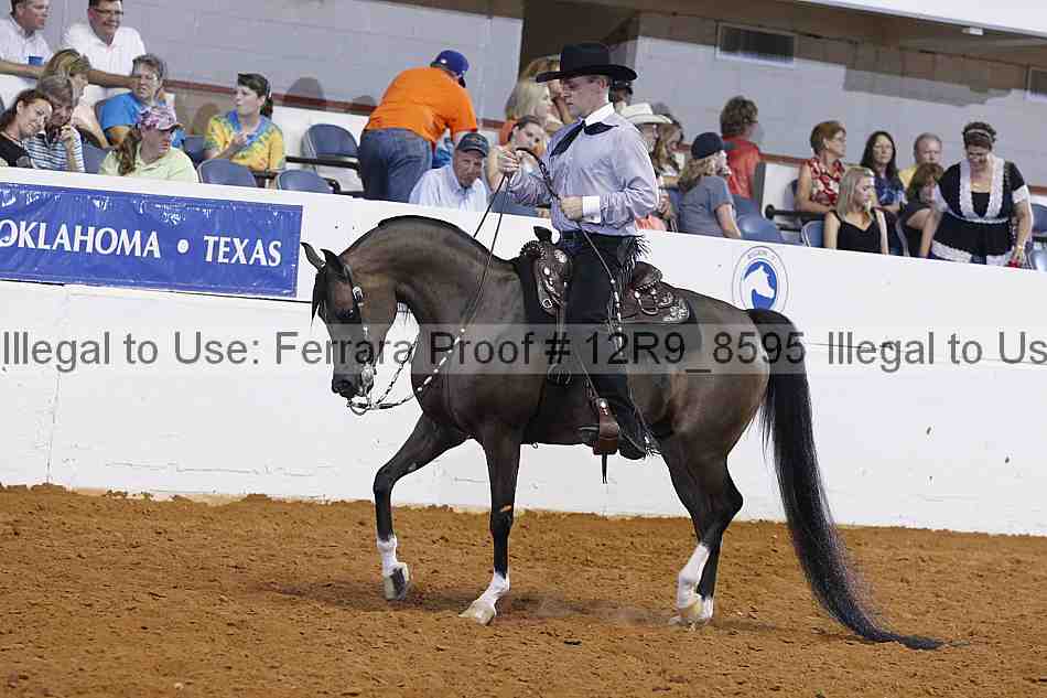 Proof Number 12r9_8595