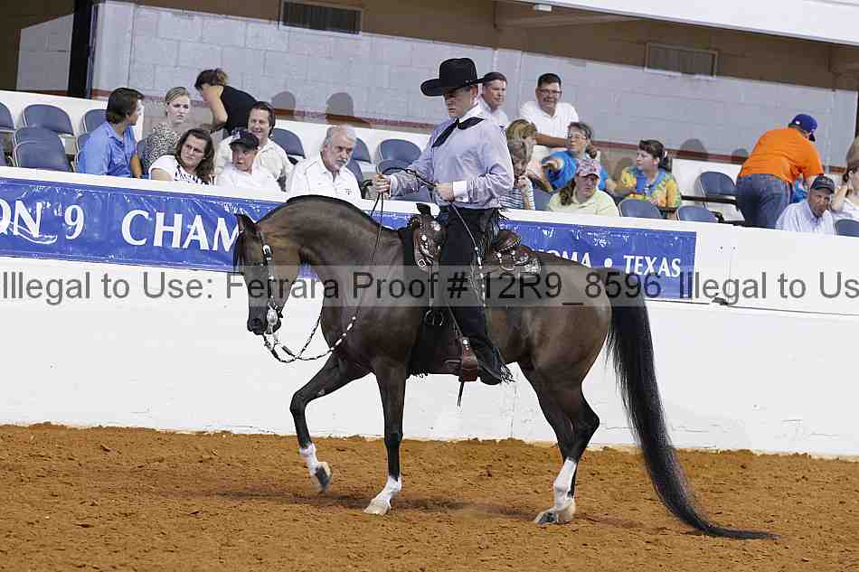Proof Number 12r9_8596