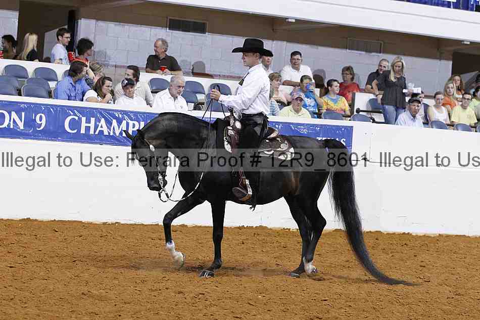 Proof Number 12r9_8601