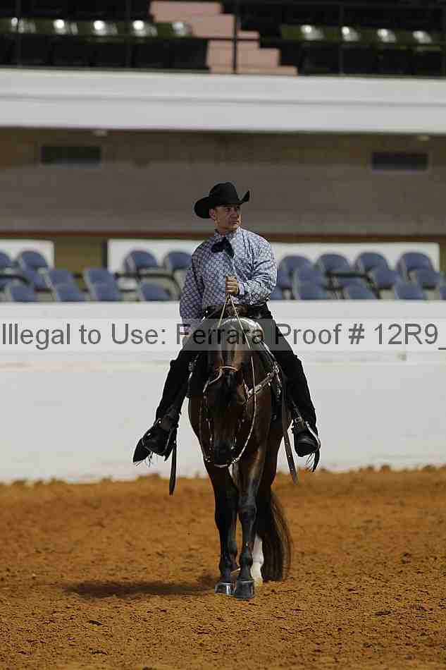 Proof Number 12r9_8605