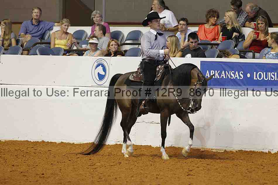 Proof Number 12r9_8610