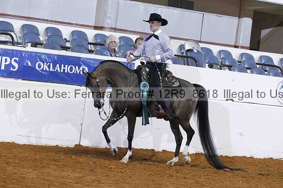 Proof Number 12r9_8618