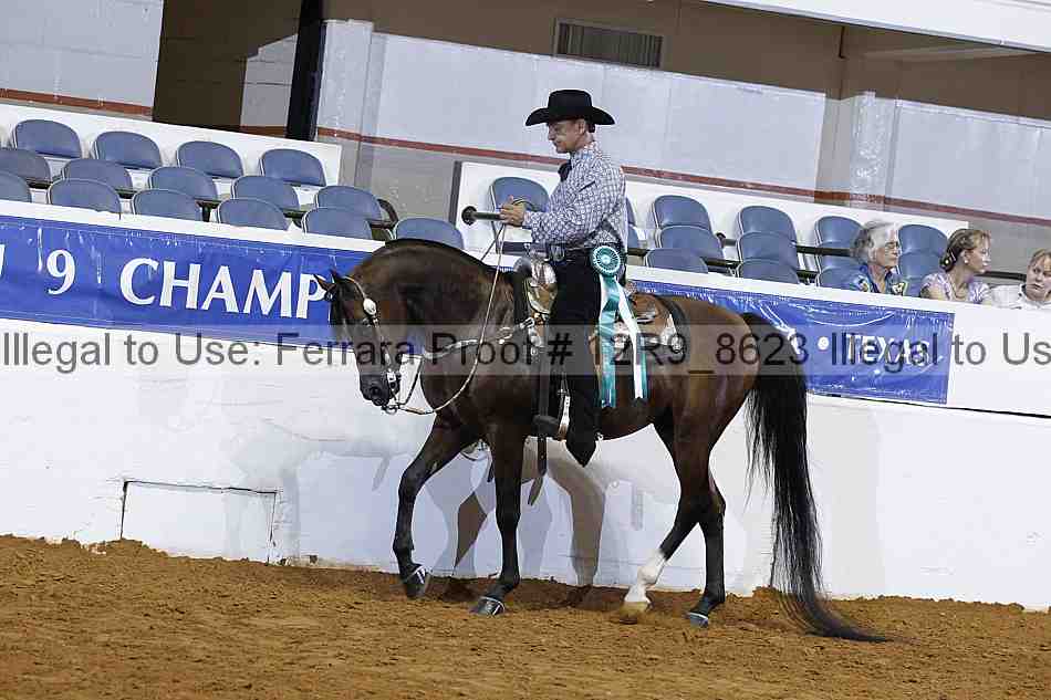 Proof Number 12r9_8623