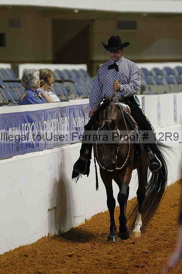 Proof Number 12r9_8630