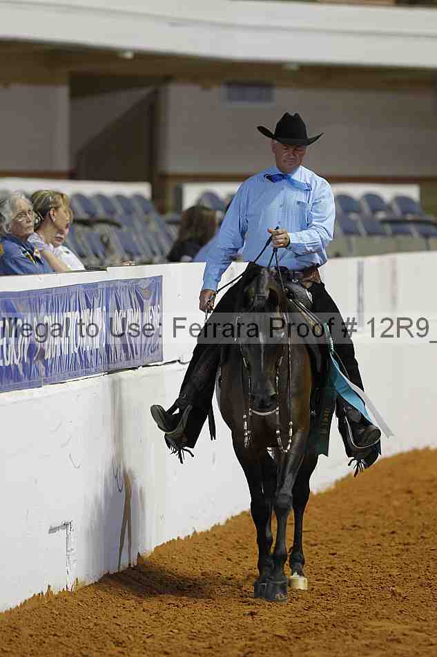 Proof Number 12r9_8634
