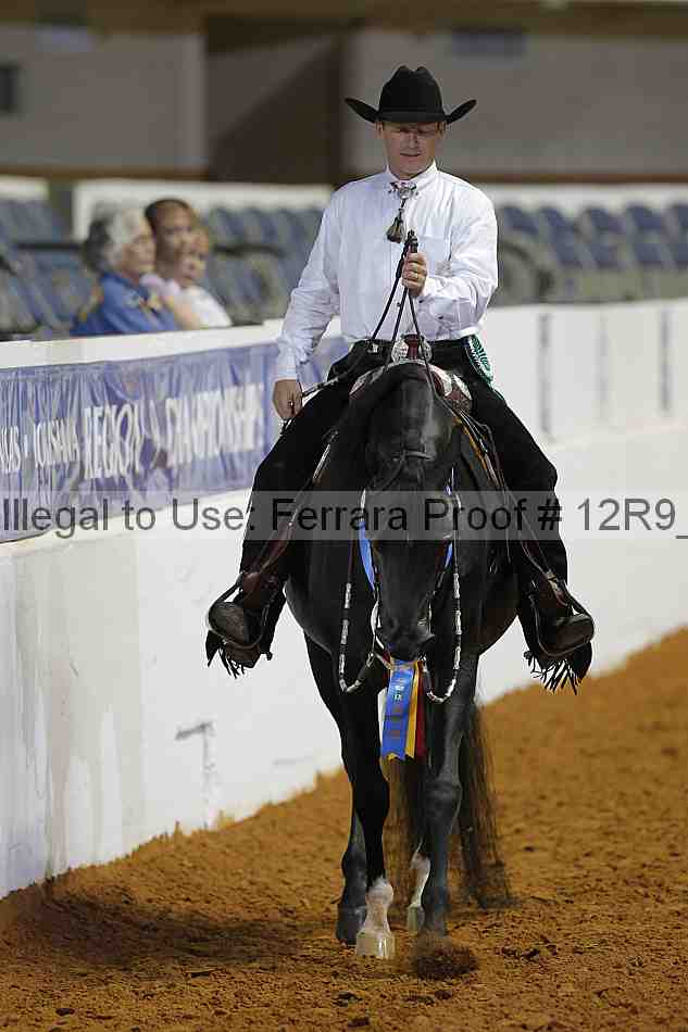 Proof Number 12r9_8641